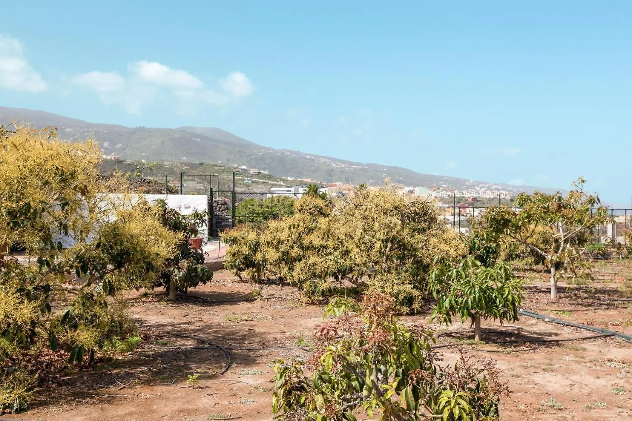 Casas Quemahierro Villa Icod De Los Vinos 0*,